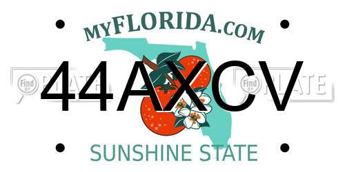 44AXCV Florida License Plate