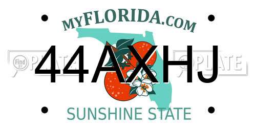 44AXHJ Florida License Plate