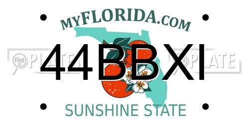 44BBXI Florida License Plate