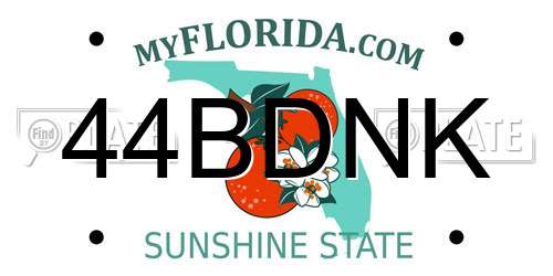 44BDNK Florida License Plate