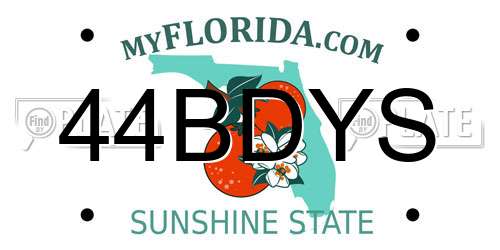 44BDYS Florida License Plate