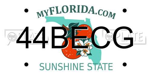 44BECG Florida License Plate