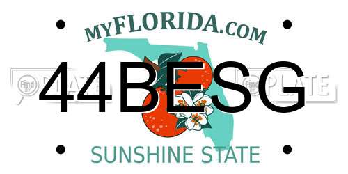 44BESG Florida License Plate