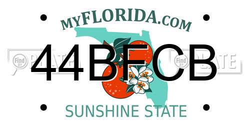 44BFCB Florida License Plate