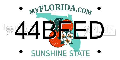 44BFED Florida License Plate