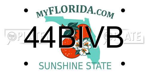 44BIVB Florida License Plate