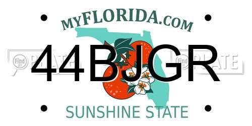 44BJGR Florida License Plate