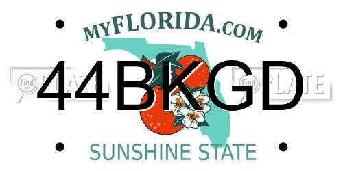 44BKGD Florida License Plate