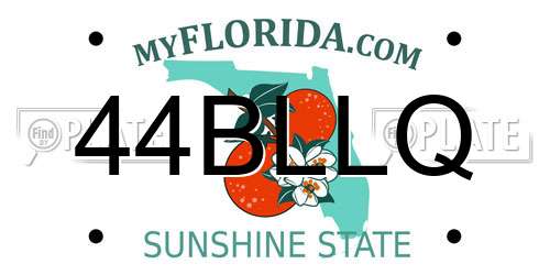 44BLLQ Florida License Plate