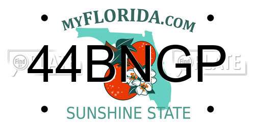 44BNGP Florida License Plate