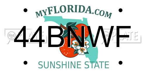 44BNWF Florida License Plate