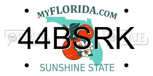 44BSRK Florida License Plate