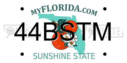 44BSTM Florida License Plate
