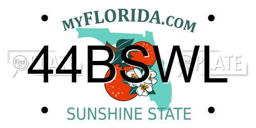44BSWL Florida License Plate