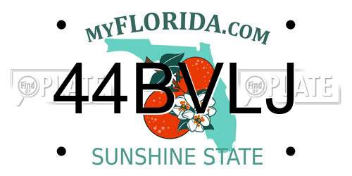 44BVLJ Florida License Plate