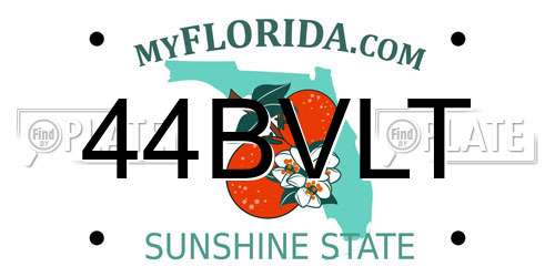 44BVLT Florida License Plate