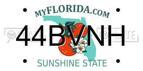 44BVNH Florida License Plate