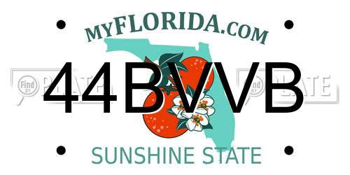 44BVVB Florida License Plate