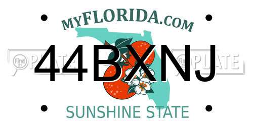 44BXNJ Florida License Plate