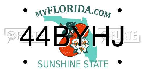 44BYHJ Florida License Plate