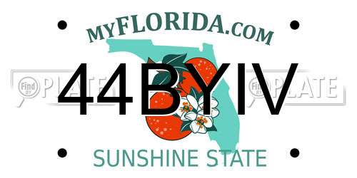 44BYIV Florida License Plate