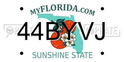 44BYVJ Florida License Plate