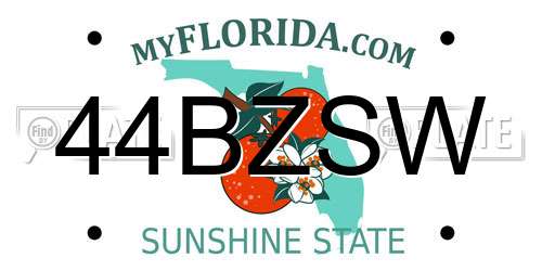44BZSW Florida License Plate