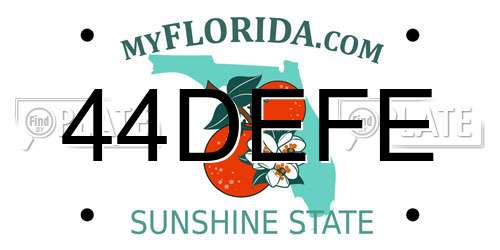 44DEFE Florida License Plate