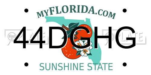44DGHG Florida License Plate