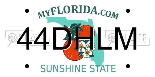 44DHLM Florida License Plate