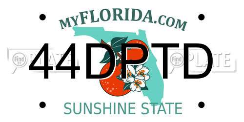 44DPTD Florida License Plate