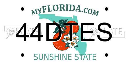 44DTES Florida License Plate