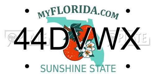 44DVWX Florida License Plate