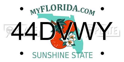 44DVWY Florida License Plate