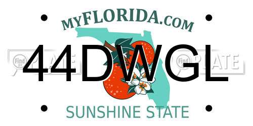 44DWGL Florida License Plate