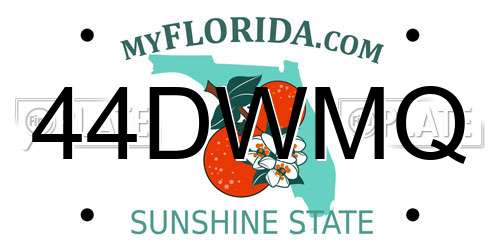 44DWMQ Florida License Plate
