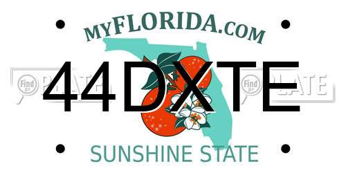 44DXTE Florida License Plate