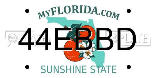 44EBBD Florida License Plate