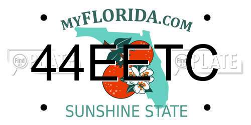 44EETC Florida License Plate