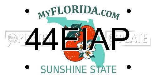 44EIAP Florida License Plate
