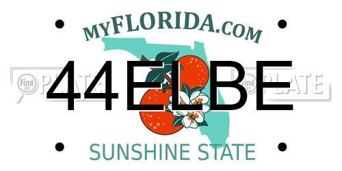 44ELBE Florida License Plate