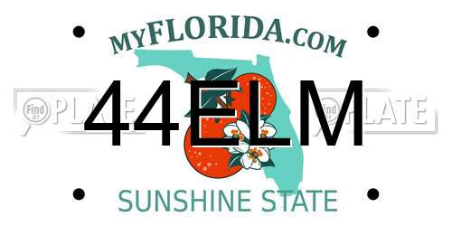44ELM Florida License Plate