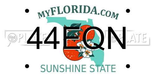 44EQN Florida License Plate