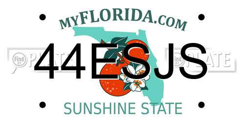 44ESJS Florida License Plate