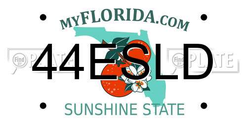 44ESLD Florida License Plate