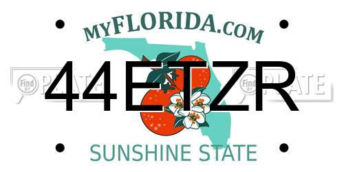 44ETZR Florida License Plate