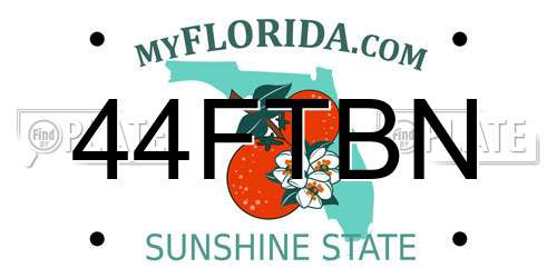 44FTBN Florida License Plate