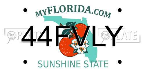 44FVLY Florida License Plate
