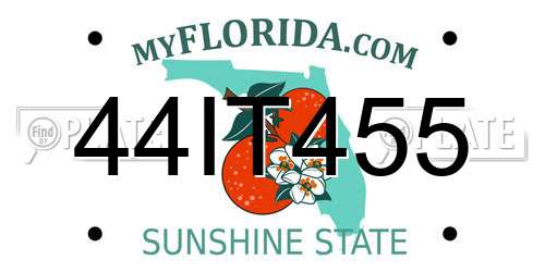 44IT455 Florida License Plate