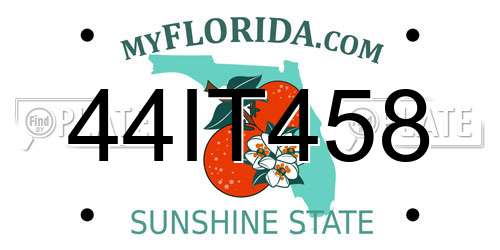 44IT458 Florida License Plate